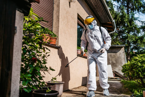 Best Ant Control Services  in Walker Mill, MD