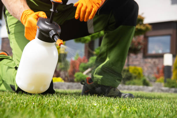 Best Best Pest Control Companies  in Walker Mill, MD