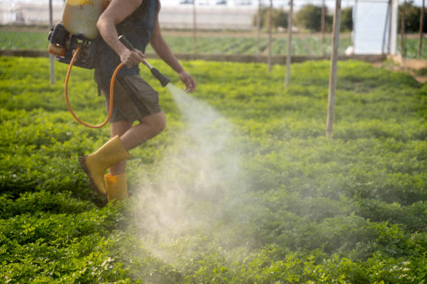 Best Mosquito Control Services  in Walker Mill, MD