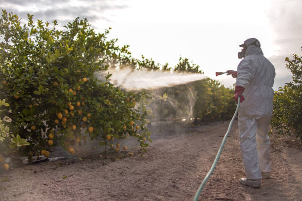 Best Pest Removal Services  in Walker Mill, MD