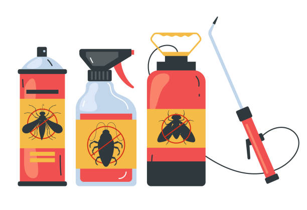 Best Affordable Pest Control Services  in Walker Mill, MD