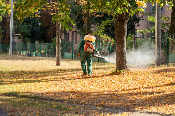 Flea Control Services in Walker Mill, MD