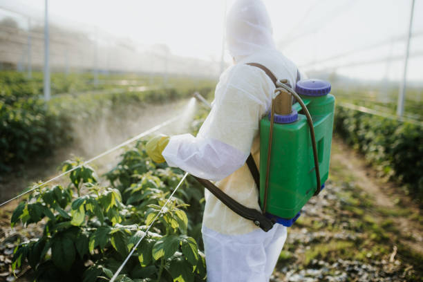 Best Best Pest Control Companies  in Walker Mill, MD